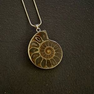 Ammonite Pendant on Sterling Silver 16 inch Chain